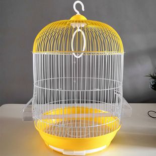 �_�󽛵�A�B�\ �����B�\ ��̖�A�B�\ ���l��Ƥ�B�\��