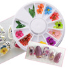 Organic plant lamp for manicure, set, nail polish, nail decoration, 12 colors, 24 pieces