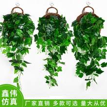 lڒٗlɽG~ٻֲGֲ͏db