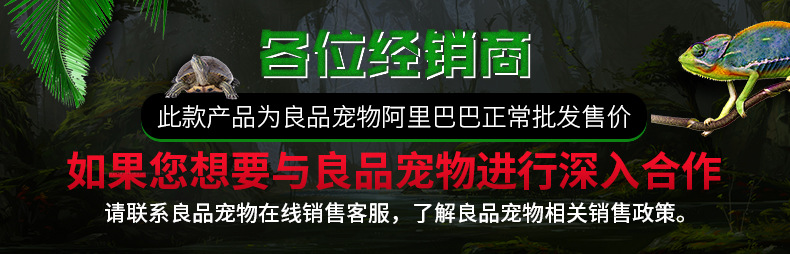 详情页_01