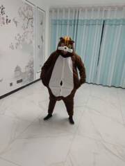 リスのフリースの漫画のワンピースのパジャマのシマリスのハロウィンのパーティーの動物の出演服は代行します。