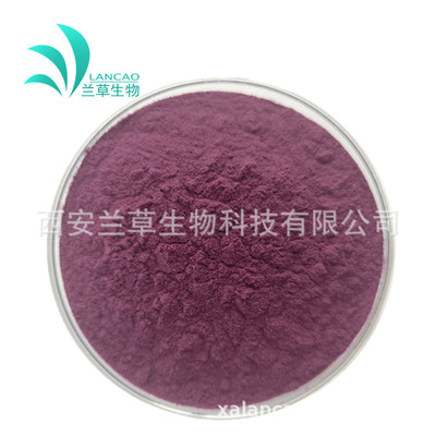 蓝莓粉 99% 蓝莓提取 速溶果蔬粉 固体饮料 蓝莓果粉 代餐原料