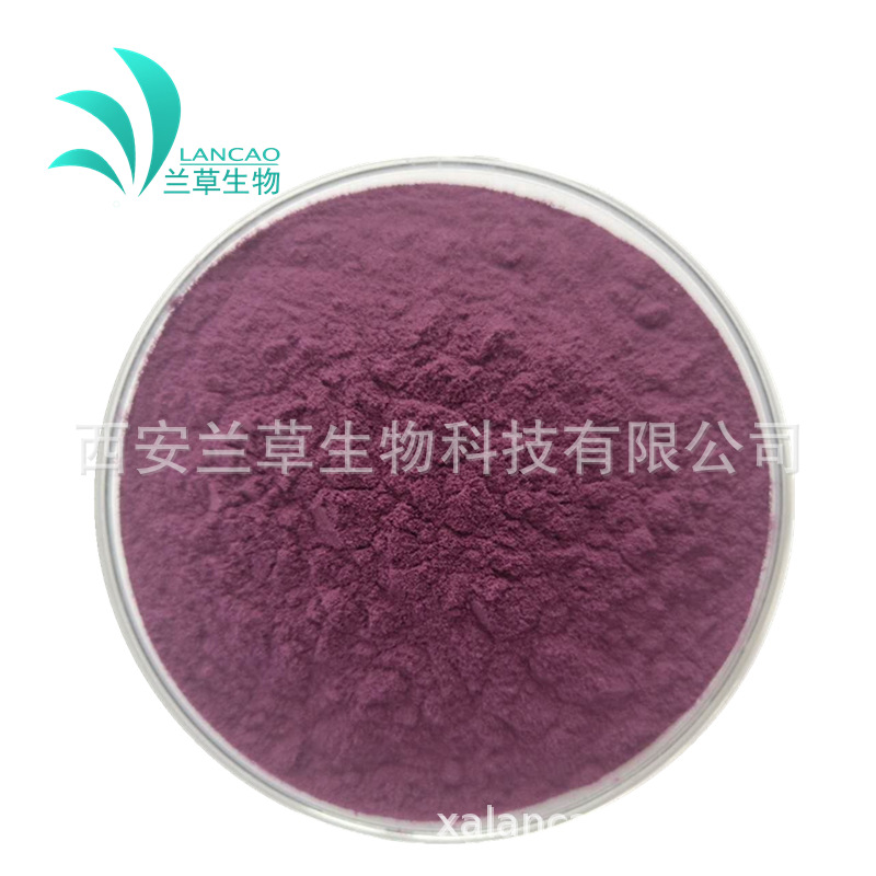 蓝莓粉 99% 蓝莓提取 速溶果蔬粉 固体饮料 蓝莓果粉 代餐原料