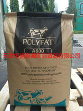 進口棕櫚脂肪粉 飼料級添加劑