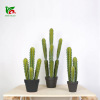 Realistic Scandinavian plant lamp, photography props, cactus