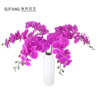 ��������m�z�� �Ҿ��b��ָз���9�^�ձ������m ��������m�ٻ�