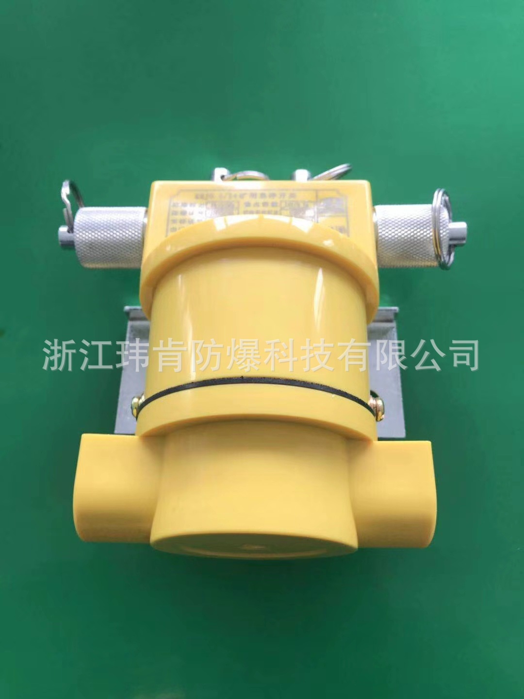 厂家批发 KHJ24 本质安全型急停开关 矿用急停开关 优惠价