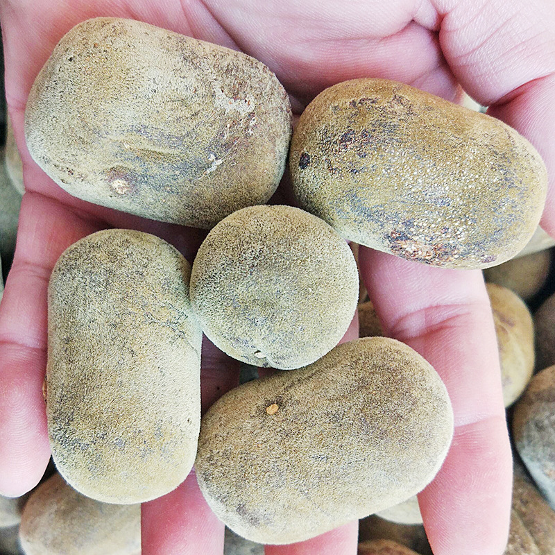 Aged Huazhou Tangerine Peel Slices Chen Pi Hua Zhou Ju Hong Citrus Grandis Traditional Herbal Tea 40g specifications