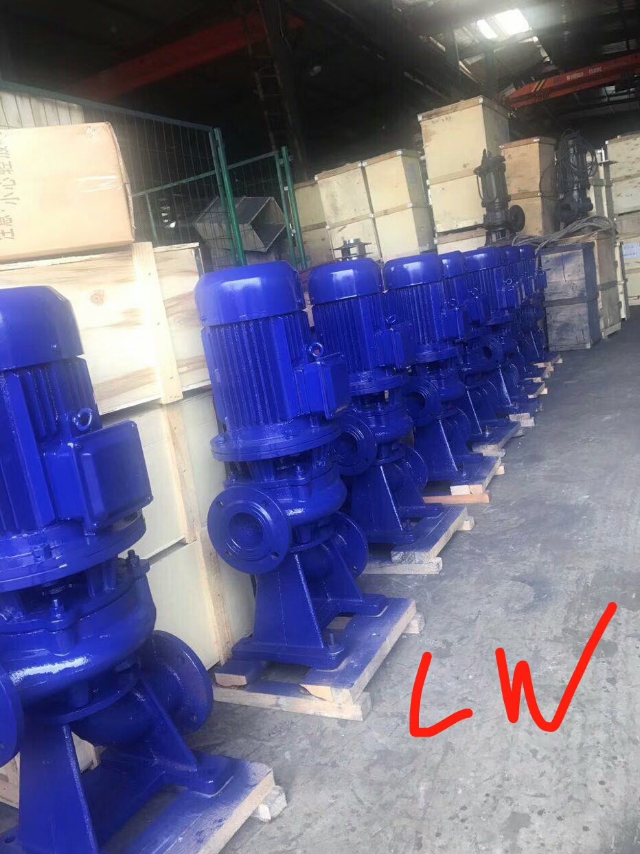 A沂洺 LW250-800-12-45无堵塞直立式排污泵 污水泵 立式潜污泵