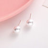 Silver needle from pearl, earrings, silver 925 sample, simple and elegant design