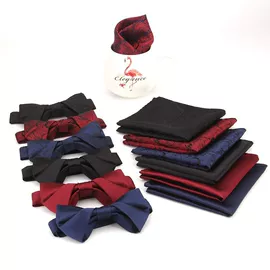 领结/领花;领带;胸针