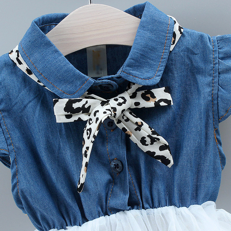 Denim Mesh Princess Dress