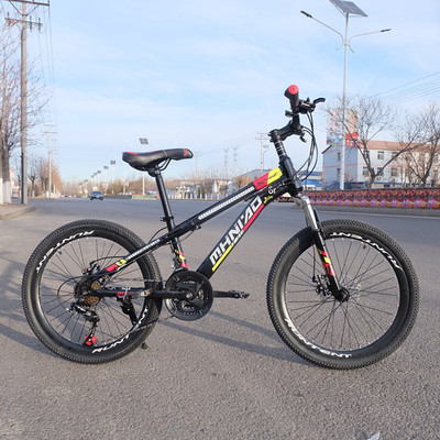 Tianjin Manufactor Direct selling 20 Mountain Bicycle Child car 21 Dual disc brakes shock absorption Space vehicles perform