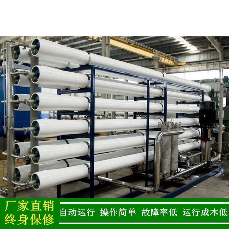 大型水处理净化设备 50吨/小时反渗透纯水设备厂价直销