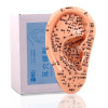 Model acupuncture chinese medicine acupoint clear Lettering Ears massage elastic brass Acupuncture Stylus