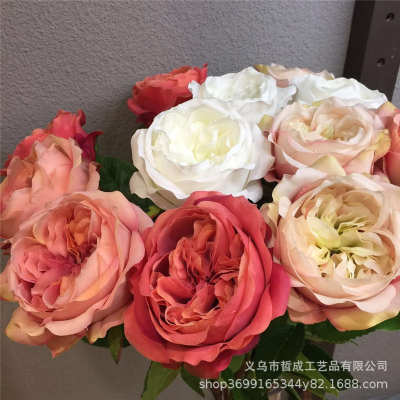 微信图片_20190215211416.jpg