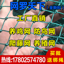 家禽养鸡网养殖网小鸡网果园防鸟网爬藤网护栏网山鸡网尼龙网围网