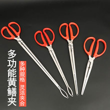 �S�X�A�з�A���s���X�~�Q���~�����q�з���r�A�X�~�A������