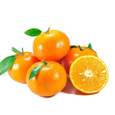 Wuming Season Orange Pellicle Sweet and sour Peel Tangerine fresh fruit Large fruit Sugar orange