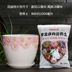 花盆陶瓷簡約特大號帶托盤加2L營養土室內綠蘿綠植多肉花盆