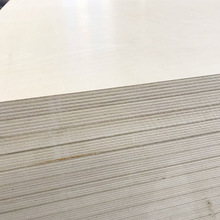 廠家直供3~25mm漂白樺木面 多層板家具板膠合板材 實木貼面飾面板