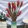 Single reed simulation Reed Potted Plant Simulation Dog Tail Bar Reed Indoor Decoration Green Plant Network Red Reed Cross -border