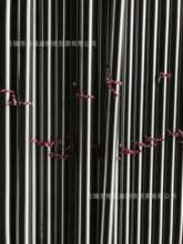 201���P䓹����A� 201 ��Ԫ 201ֱ�l 201���P䓹�� 201���P䓰�