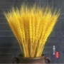 云南婚庆家居开业花束