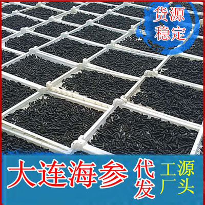 仙鹭島大連淡幹海參幹貨海刺參遼參批發廠家壹手貨源