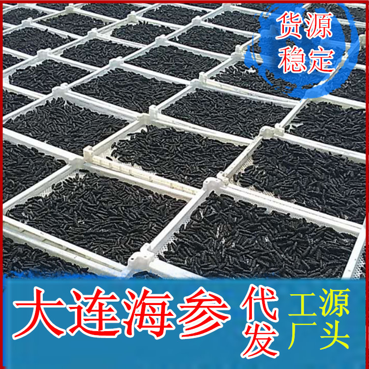 仙鹭島大連淡幹海參幹貨海刺參遼參批發廠家壹手貨源