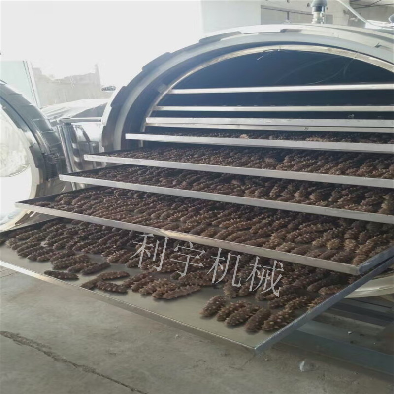 厂家直销真空冷冻干燥机 海参鲍鱼真空冷冻干燥设备 质量保证