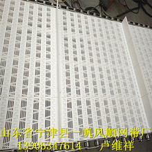 塑料洗碗机网带、尼龙烘干输送网带、餐具清洗烘干消毒 易清洗