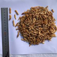 2-3׼trɽ~Zϳ~_ڼZ^p~~r