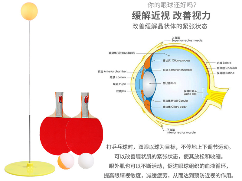 中眼球图