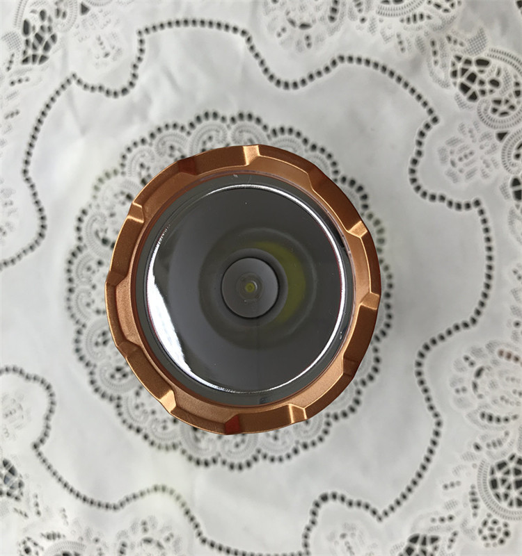 微信图片_20190606163732_副本