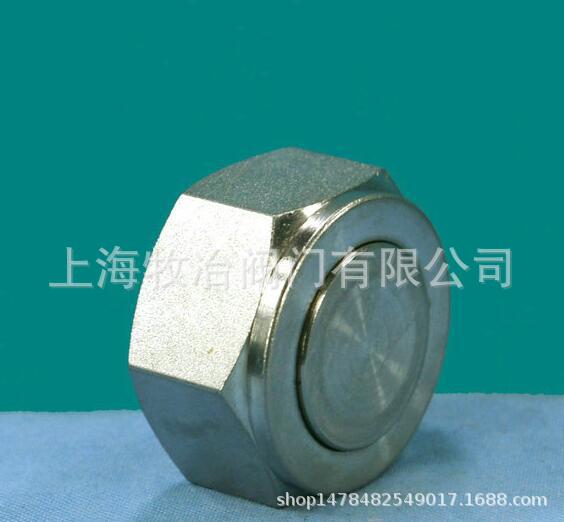 美国swagelok世伟洛克SS-1610-P堵塞 不锈钢接头  部分库存