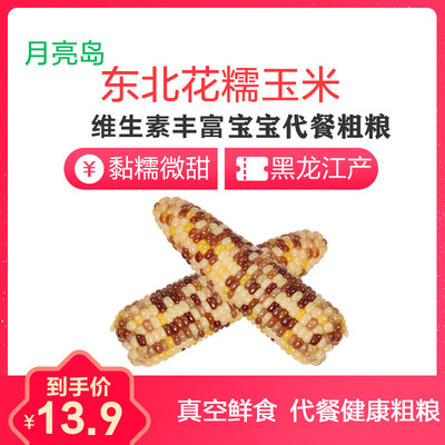 月亮岛花糯玉米整玉米2根真空装鲜食玉米糯玉米棒东北美食黑龙江|ms