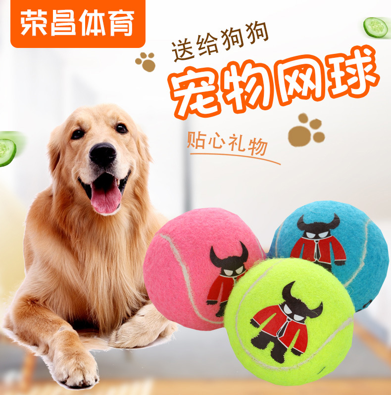 荣昌体育详情7_01