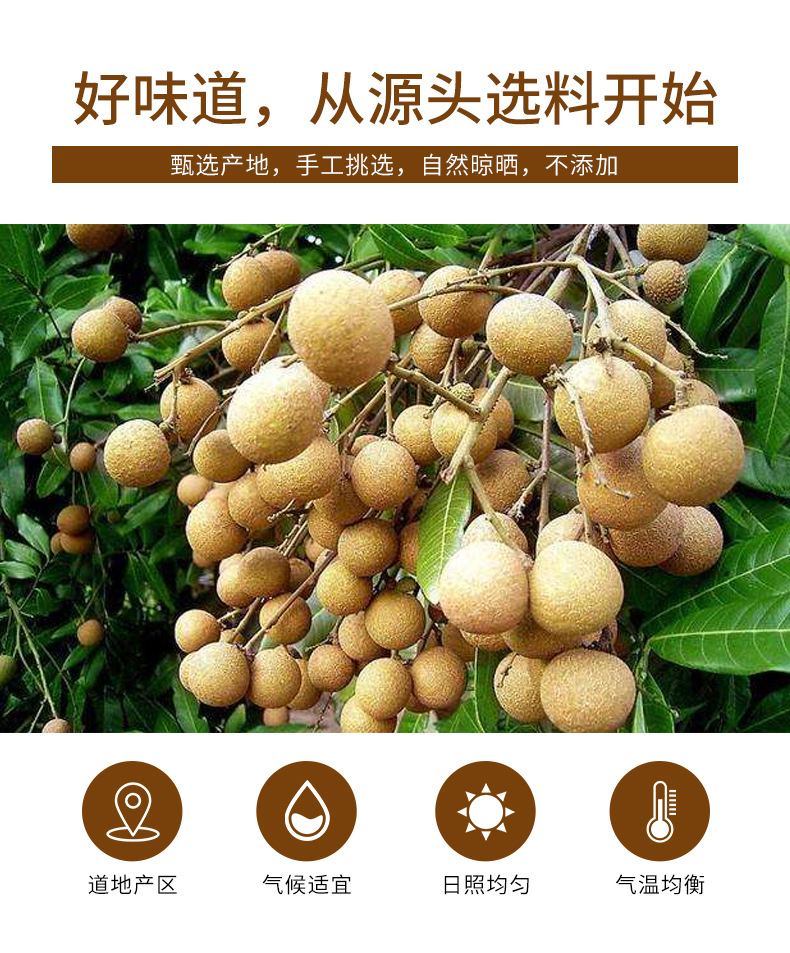 Gui Yuan Rou (Longan Dried Flesh, Dimocarpus longan) — Seedless 250g Jar, Food-Herb for Tea & Soup key features