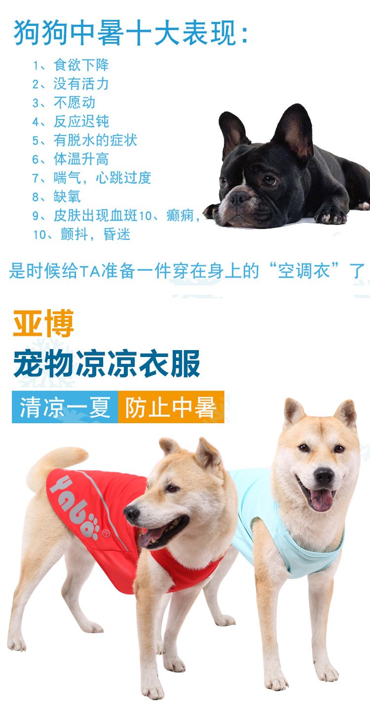 详情切片