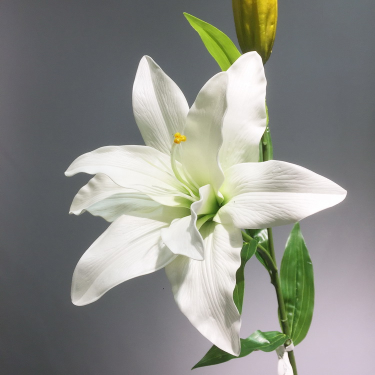 2-5白色百合.JPG