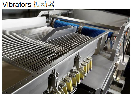 荷兰光学分选机色选机异物去除机Vibrators 振动器