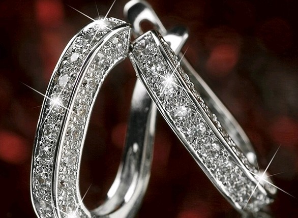 Elegant Zircon Studs