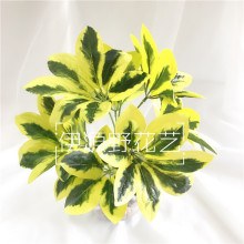 �ٻ��Gֲ�����b���ֲ�����_ľ����ľ����ֲ�����~�������~