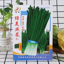 韭菜袋裝250g韭菜種子批發綠美韭菜種子蔬菜種子適合大棚產量高