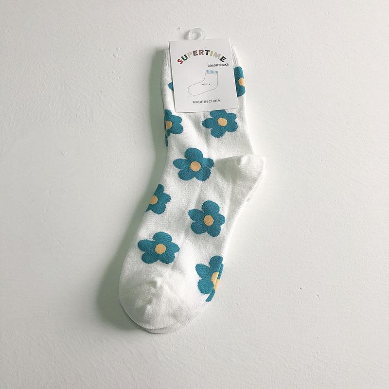 IMG_0533(20191107-154444)