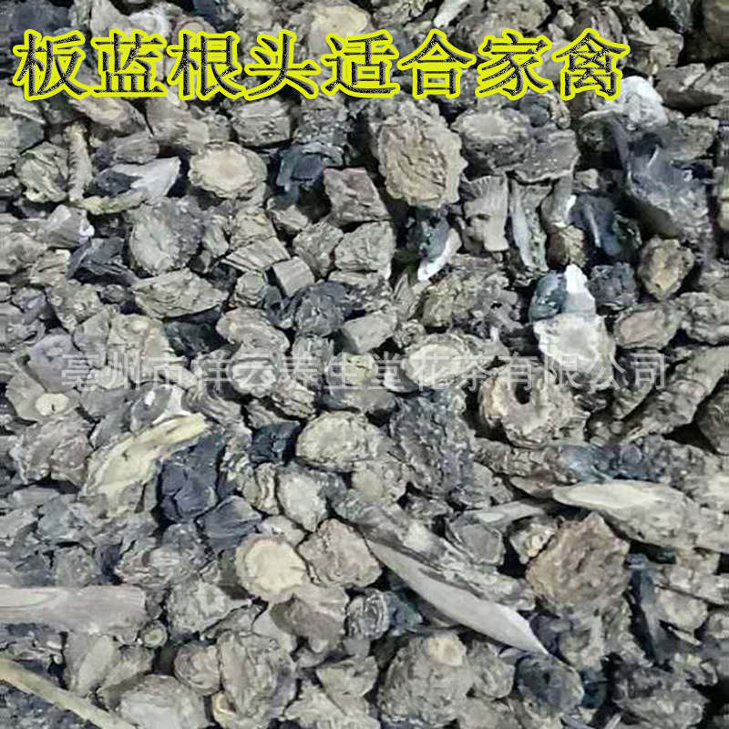 板蓝根批发 大青根大蓝根散装500克中片尾片材板兰根大青叶-阿里巴巴