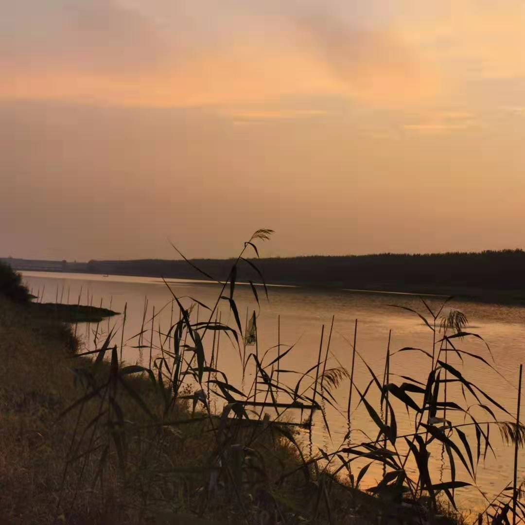 喷泉式太阳能曝气机喷泉式 太阳能曝气机