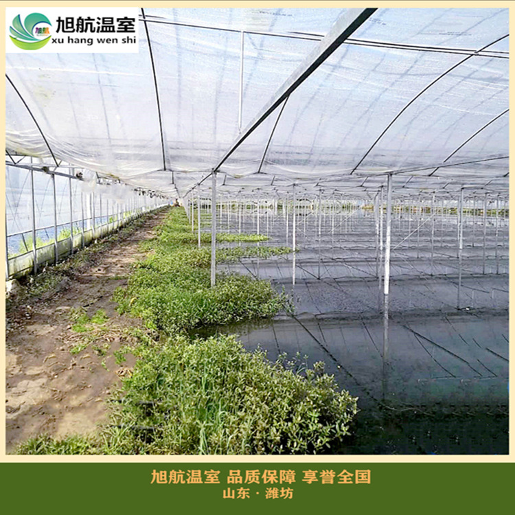 weixintupian_20190128110041_副本