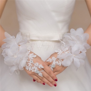 ���l�������׼t��ɫ�Y��鼆�̿��܇��¶ָ�����Y����Y��c
